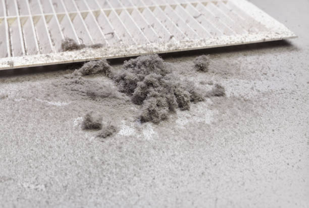Best Residential Air Duct Cleaning  in Lewisburg, PA